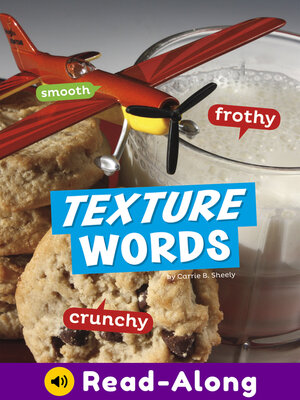 cover image of Texture Words